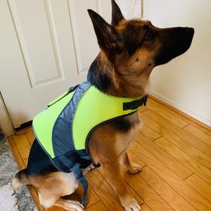 Dog’s life jacket vest